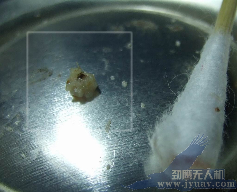 &#23436;&#32654;&#20307;&#32946;